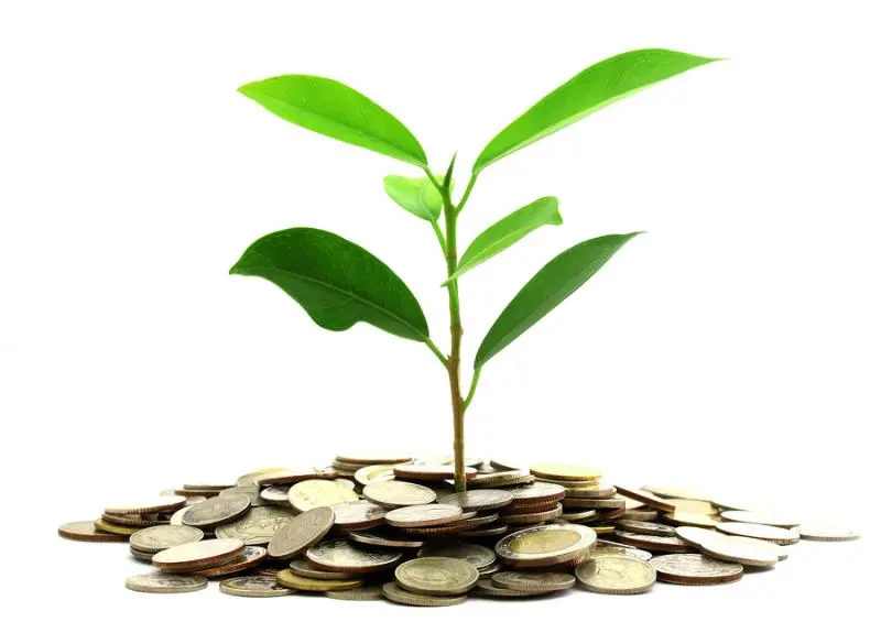 Инвестиции SKF в сохранение экологии | Свежие новости в Москве